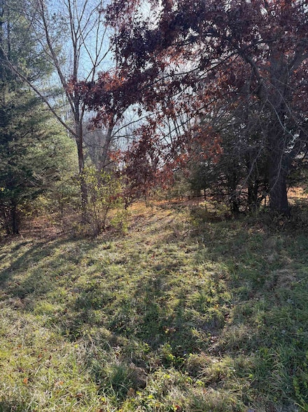 7A255 Tomahawk Ln, Apple Canyon Lake, IL 61001