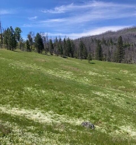 411 Holly Creek Ln, Ruth Lake, CA 95526