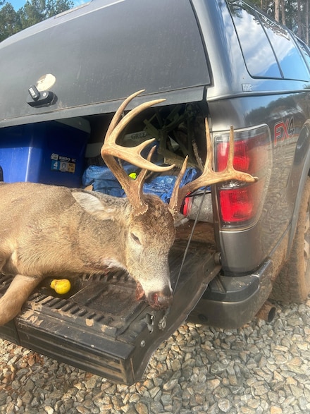 0 Seven Islands Rd Unit 25188709, Madison, GA 30650