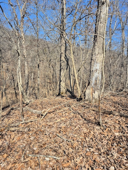 0 Fresno Rd, Versailles, MO 65084