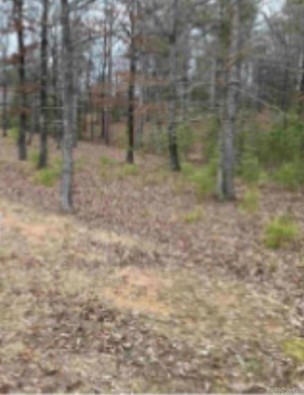 0 Stone Ridge Drives Unit 25004851, Pine Bluff, AR 71603