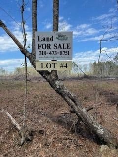 0 Johnson Rd Unit 23138350, Glenmora, LA 71433