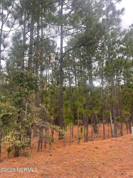 0 Boyd Lake Unit 100412372, Hamlet, NC 28345