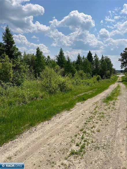TBD Minnesota 65, Ray, MN 56669