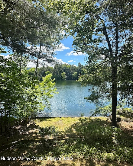 1256 Lakeview Rd, Copake, NY 12516