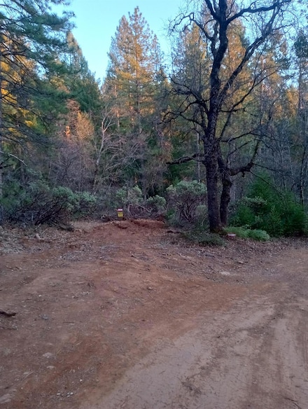 3015 Moody Ridge Rd, Gold Run, CA 95717