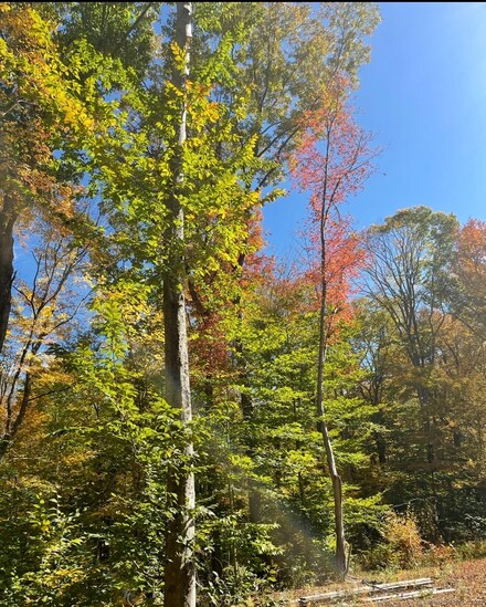 0 S Brook Rd Unit lot 4 24090331, Hampton, CT 06247