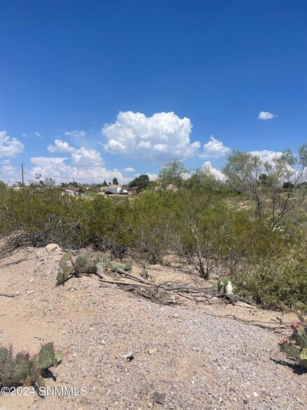 1650 Westmoreland Ave, Las Cruces, NM 88012