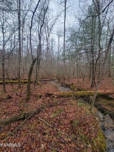 0 Coon Creek Rd Unit 218535, Sunbright, TN 37382