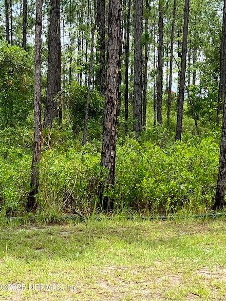 0 Canaveral Trace, Middleburg, FL 32068