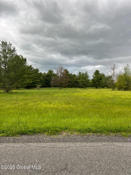 L54 Meadowbrook Ln, Greenville, NY 12083