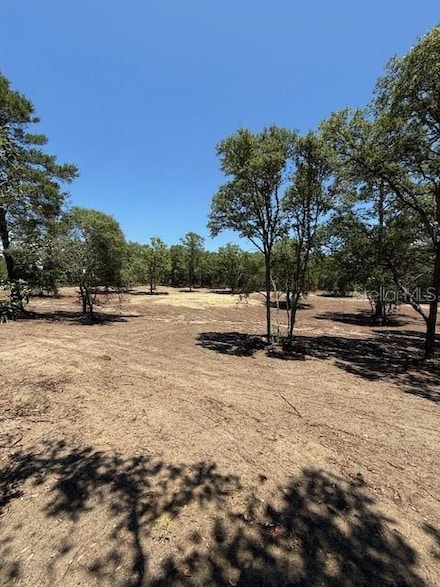 0 SE 148th Ave Unit MFROM702851, Williston, FL 32696