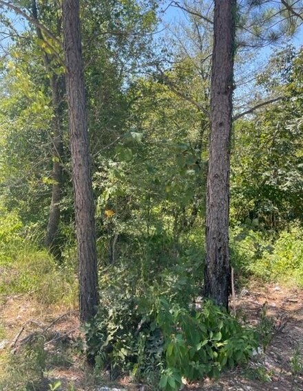 608 Timber Creek Trail, Hochatown, OK 74728