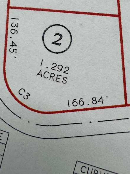 Lot  # 2 Tanglewood Trail Subdivision, Georgetown, GA 39854