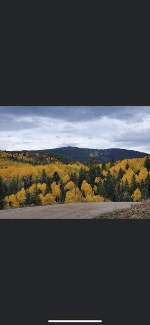 Lot #46 W Village Subdivision, Beaver, UT 84713