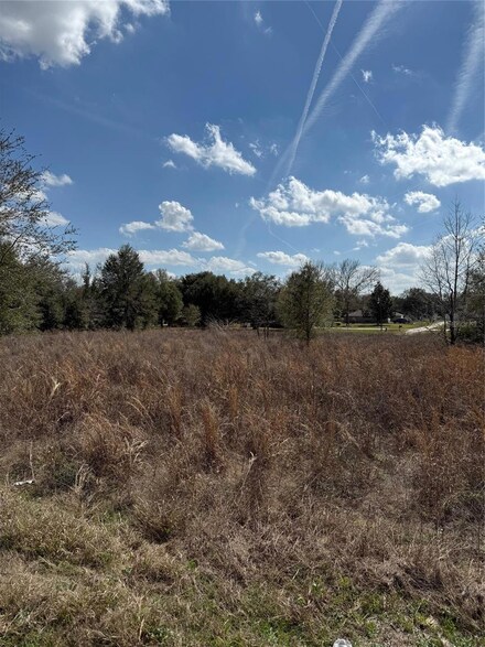 TBD SW 100th Ln, Dunnellon, FL 34432