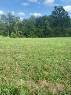 532 Pistole Rd, Sparta, TN 38583