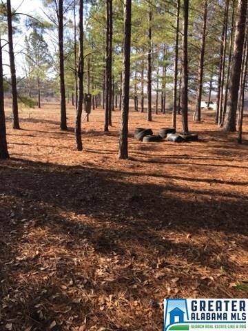 1521 County Road 353 Unit 1, Maplesville, AL 36750