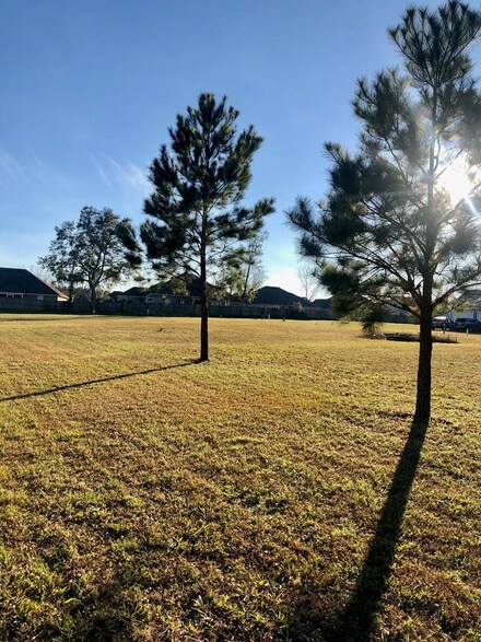 4334 Simpson Ln, Hahira, GA 31632