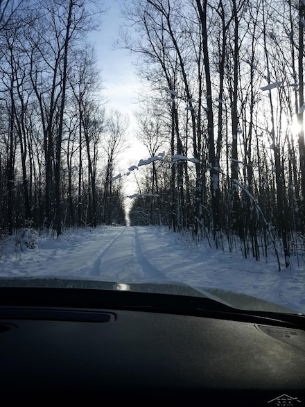VL Camp Domino Trail, Hillman, MI 49746