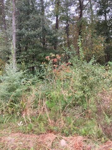 18625 Highway 22, Ponchatoula, LA 70454