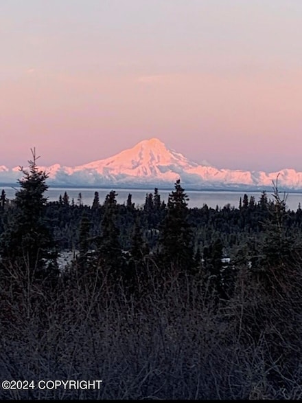 28445 Old Setnetter Dr, Kasilof, AK 99610