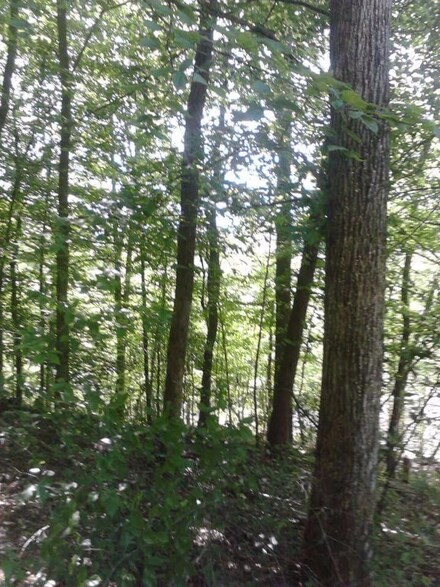 1 Highway 830, Corbin, KY 40701