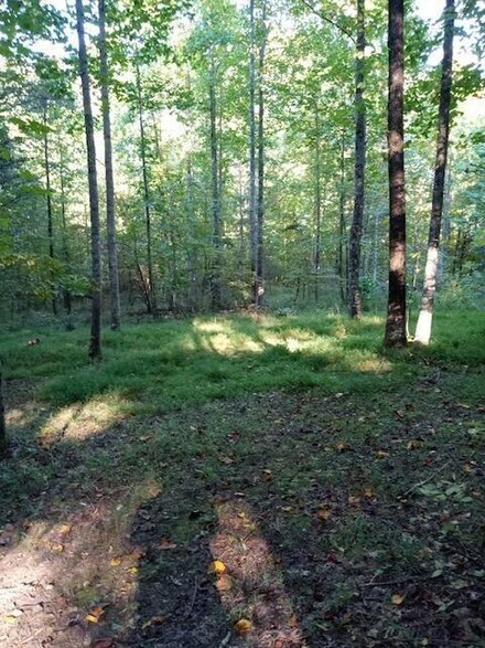 0 Vulcan Rd Unit 1373752, Lookout Mountain, GA 30750