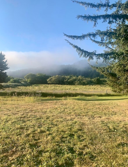 34944 Ophir Rd, Gold Beach, OR 97444