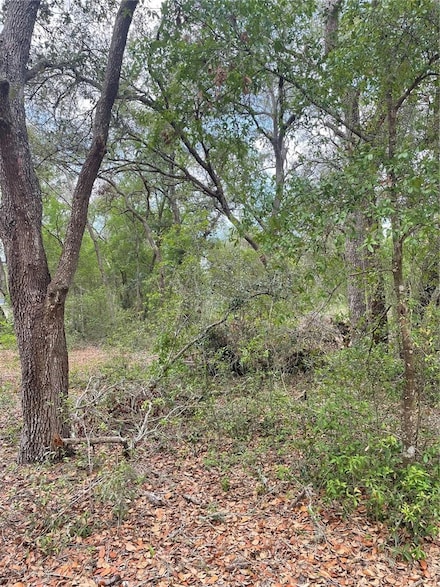 0 Juniper Unit MFRO6305976, Lady Lake, FL 32159