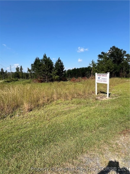 0 Mcqueen Rd, Rennert, NC 28386