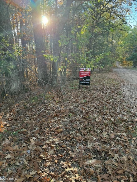 00 Park Dr NE, Manistee Lake, MI 49646