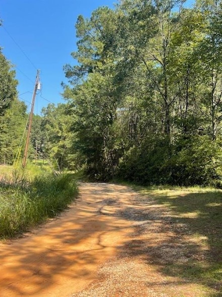 0 Mims Rd, Chunchula, AL 36521