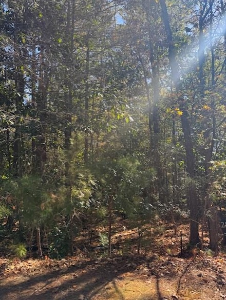 440 Highland Park Trace, Pine Mountain, GA 31822