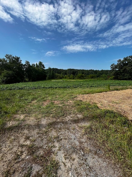 3704 Mitchner Rd, Dearing, GA 30808