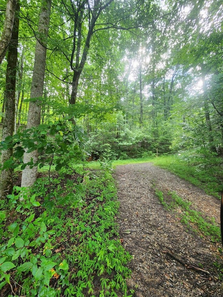 0 Highway 156 Unit 1516463, South Pittsburg, TN 37380