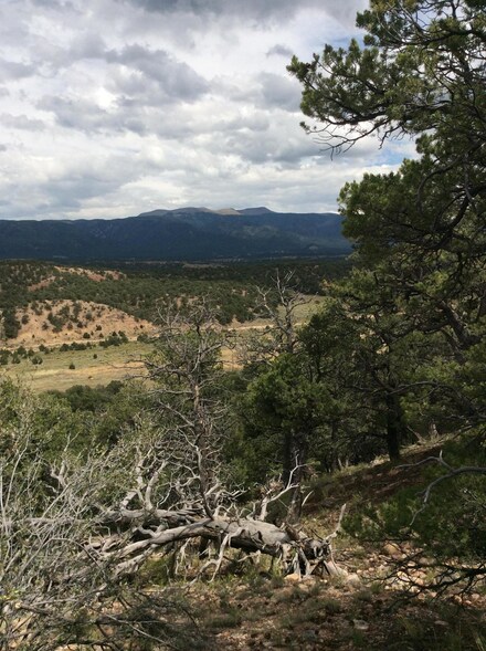 0 Cr 634 L Acres Unit 16-1034, Gardner, CO 81040