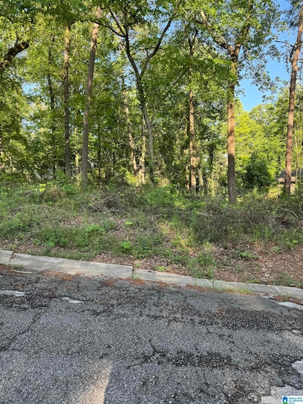 5113 Biddle Cir Unit Lot, Mount Olive, AL 35117