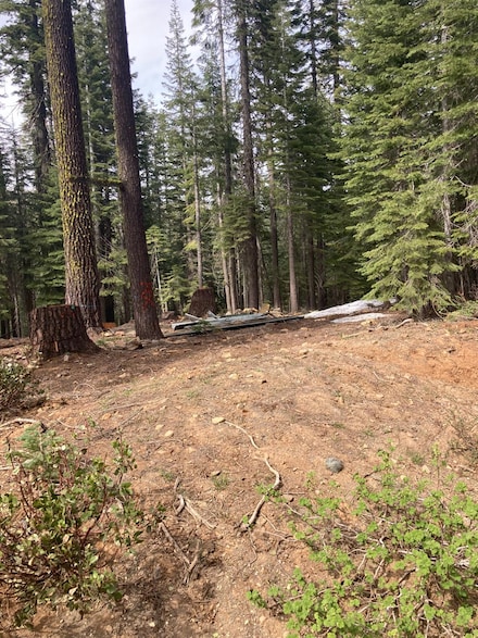 8896 Big Creek Rd, Quincy, CA 95971