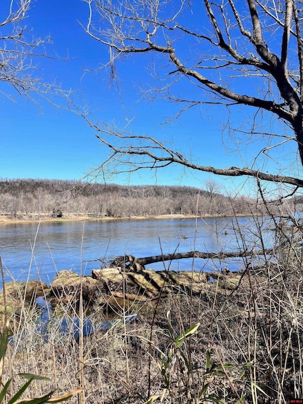 Lot 12 Cane Island Rd, Flippin, AR 72634