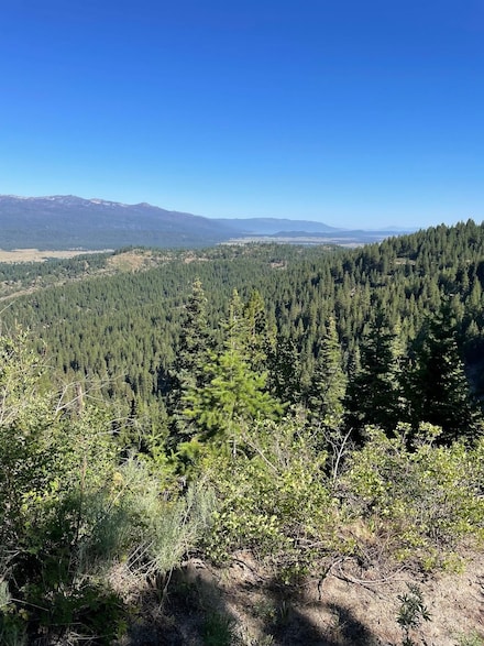 Tbd 80 W Fork Creek Rd, Cascade, ID 83611