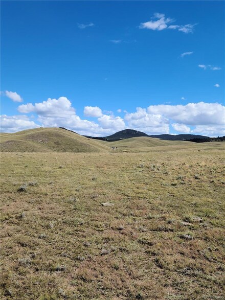0 Cahokia Rd Unit 7993507, Hartsel, CO 80449