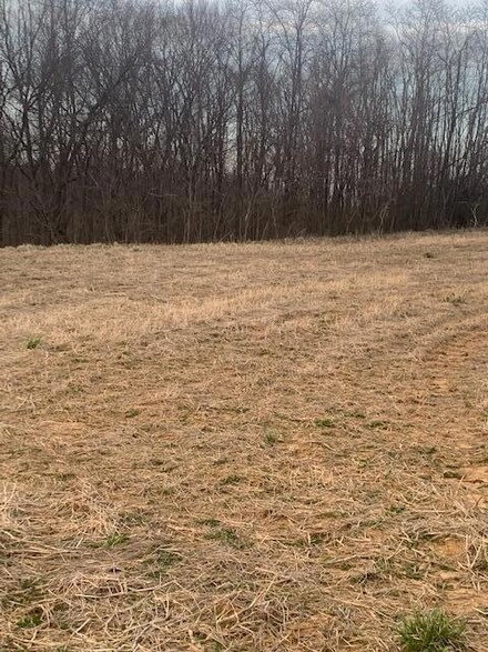 62E 62 Hwy E, Mount Olivet, KY 41064