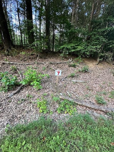 Lot 7 Sales Landing Rd, Camden, TN 38320