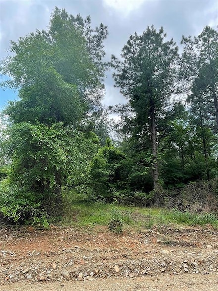 701 Timber Creek Trails South Xl, Broken Bow, OK 74728