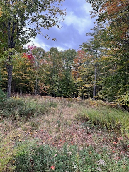 Lot 12 Daniel Dr, Wakefield, NH 03830