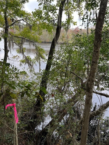 00 Settler’s Bluff Rd, Folkston, GA 31537