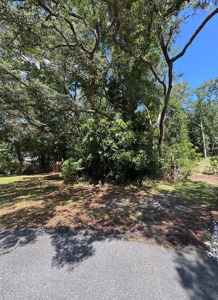 17131 NW 82nd Terrace, Fanning Springs, FL 32693