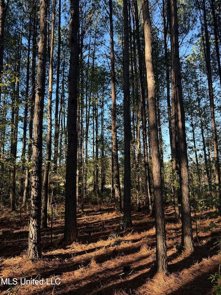 0 Factory Rd Unit 4097224, Eupora, MS 39744