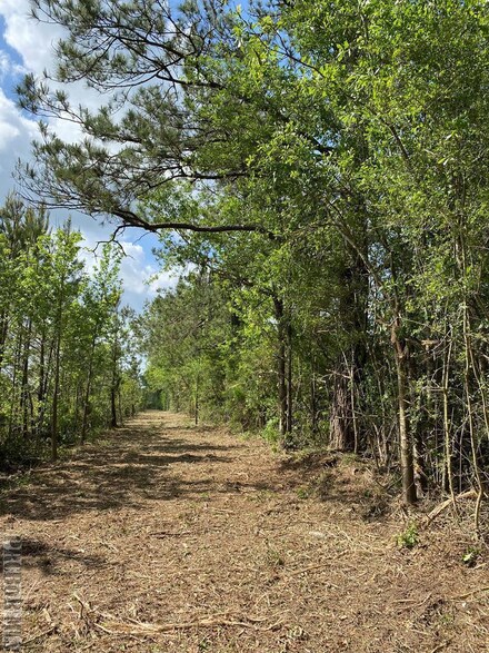 00 Hwy 43 N, Picayune, MS 39466